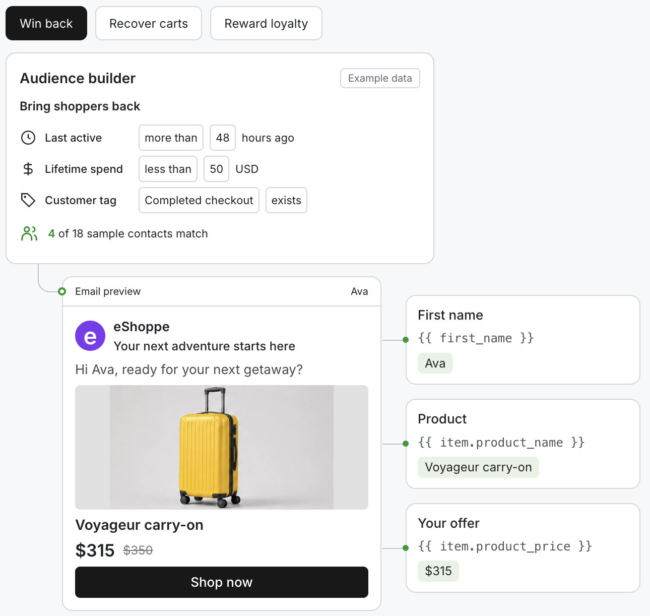 Audience builder matching four shoppers and a personalized email for Ava featuring a yellow carry-on for $315.